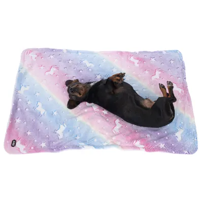 Hund liegt auf einer bunten Decke mit Einhorn- und Sternenmuster. Decke in Rosa, Blau und Lila gehalten.