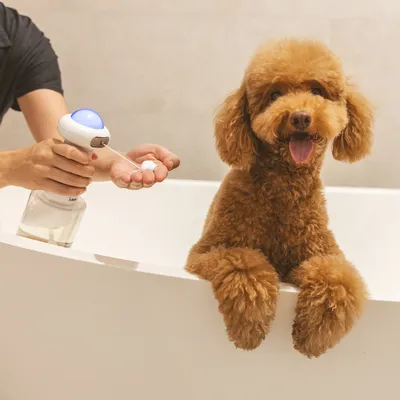 Dog in bathtub while a person dispenses foam from a dispenser onto their hand. Demonstration of pet care product application.