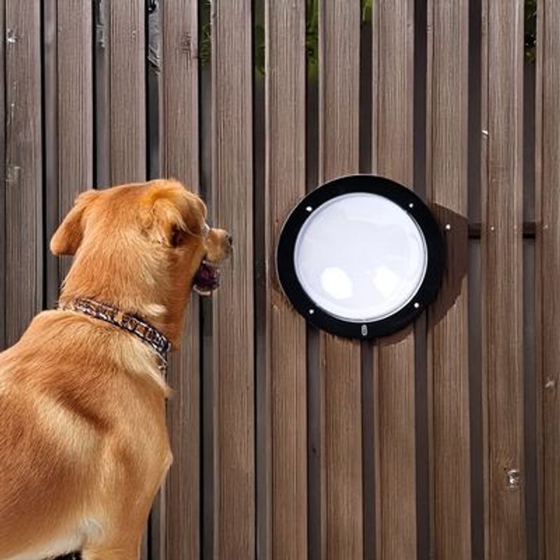 TIAKI Fenêtre de clôture "Gossip Dog"