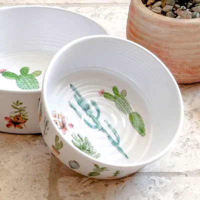 White ceramic bowls with cactus and succulent motifs, suitable for pet food or water. Decorative design with green and flowering plant patterns.