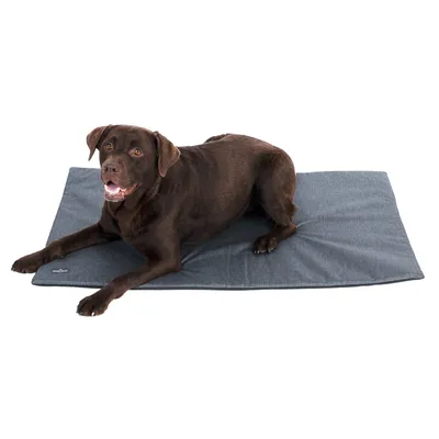 Brauner Hund liegt auf einer grauen Matte. Produkt zeigt eine Haustiermatte in rechteckiger Form.