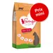 Lot Feringa pour chat