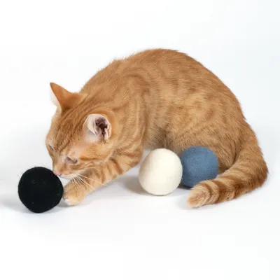 Chat roux jouant avec trois balles en feutre noir, blanc et bleu sur fond blanc. Les matériaux visibles sont du feutre.