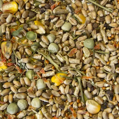 Primer plano de alimento mixto para animales con granos, maíz, guisantes, hierbas secas y verduras.