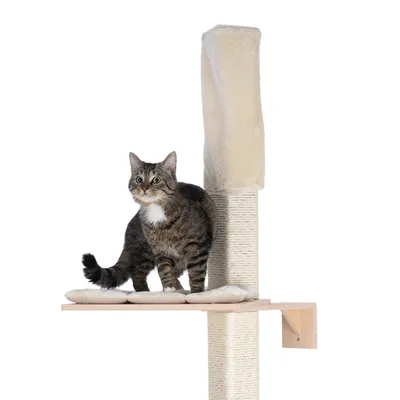 Árbol rascador con poste de sisal, plataforma de madera y superficies acolchadas para descansar. Gato de pie en la plataforma.