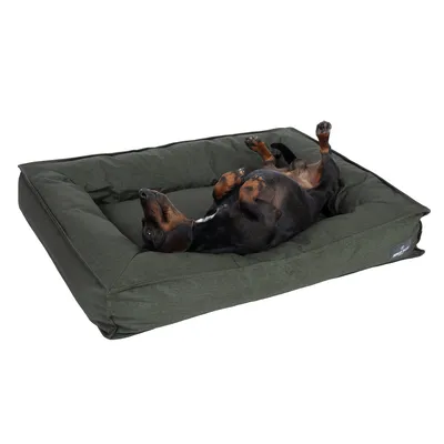 Hund liegt entspannt auf einem grünen Hundebett mit gepolsterten Rändern. Markenlogo sichtbar an der Seite des Bettes.