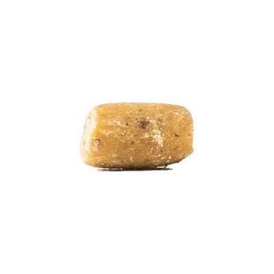 Nahaufnahme eines einzelnen, beige-braunen Trockenfutterstücks mit sichtbaren Körnern und glatter Oberfläche.