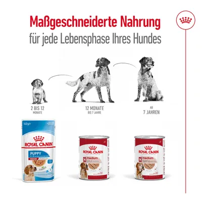 Royal Canin: Massgeschneiderte Nahrung für jede Lebensphase Ihres Hundes. Produkte für Welpen (2-12 Monate), Erwachsene (12 Monate bis 7 Jahre) und ältere Hunde (ab 7 Jahren).