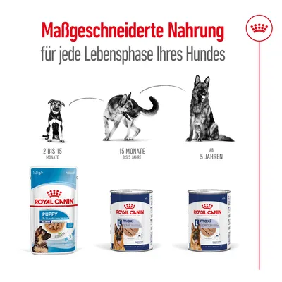 Royal Canin Nahrung für Hunde: Puppy 2-15 Monate, Adult 15 Monate bis 5 Jahre, Ageing ab 5 Jahren. Massgeschneiderte Ernährung für jede Lebensphase Ihres Hundes.