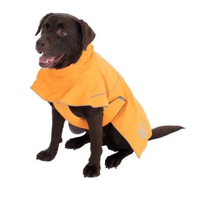 Chien à pelage foncé portant un manteau imperméable orange avec bandes réfléchissantes et fermeture sur le côté, logo patte visible sur le manteau.