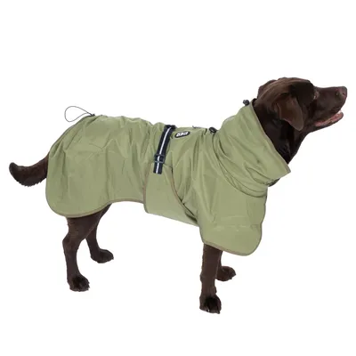 Chien marron portant un manteau imperméable vert clair avec harnais intégré et cordon de serrage, marque visible : D&D.