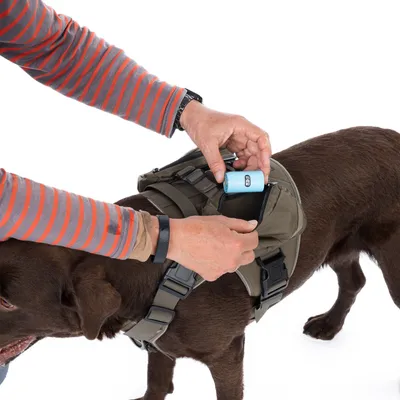 Person legt eine blaue Kotbeutelrolle in die Seitentasche eines olivgrünen Hundegeschirrs, das auf einem braunen Hund getragen wird.