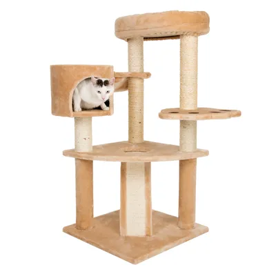 Cat tree with multiple levels, sisal posts and padded resting areas. Cat sitting in a cave on the middle level.