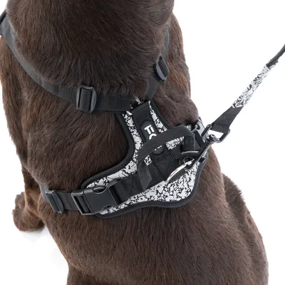 Hundegeschirr mit schwarz-weissem Muster, verstellbaren Gurten und Metallring für die Leine. Gezeigt an einem braunen Hund.