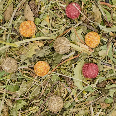 Bunte Futterbällchen auf einer Mischung aus getrockneten Blättern und Gräsern, sichtbar in verschiedenen Farben wie Rot, Orange und Grün.
