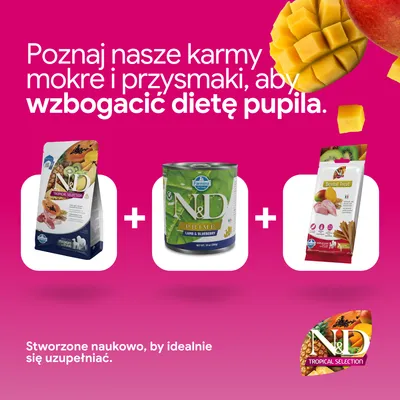 Trzy produkty Farmina N&D: sucha karma Tropical Selection, mokra karma Prime jagnięcina i czarne jagody, Dental Treat. Opracowane naukowo dla optymalnej suplementacji. Trzy produkty Farmina N&D: sucha karma Tropical Selection, mokra karma Prime jagnięcina i czarne jagody, Dental Treat. Opracowane naukowo dla optymalnej suplementacji.