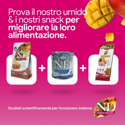 ND Tropical Selection crocchette, ND Ocean alimento umido con salmone e merluzzo, snack dental Treat. Sviluppato scientificamente per un'alimentazione ottimale.