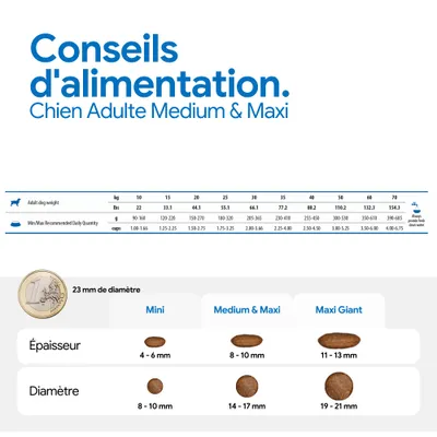 Recommandation d’alimentation pour chiens adultes medium et maxi : quantité journalière selon le poids en kg, g et gobelets. Comparaison des tailles de croquettes mini, medium et maxi, maxi giant avec diamètre et épaisseur.