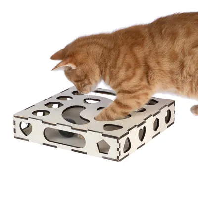 Chat roux utilisant un jeu d’intelligence en bois avec plusieurs ouvertures de formes variées, balle visible à l’intérieur du jouet.