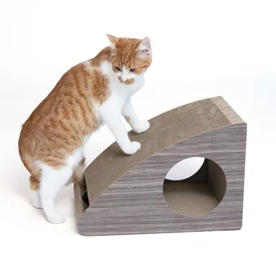 Brown and white cat standing on a scratching furniture with slanted surface and round entrance. Furniture in wood look and cardboard, suitable for scratching and hiding.
