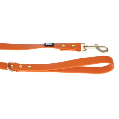 Oranje hondenriem met metalen karabijnhaak en gouden studs, label-ID zichtbaar.