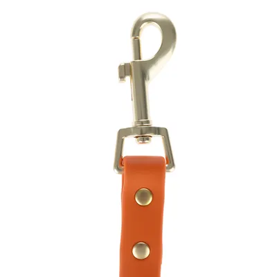 Close-up van een oranje hondenriem met goudkleurige metalen karabijnhaak en klinknagels.