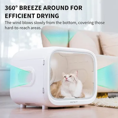PETKIT drying device with 360° airflow for efficient drying. Air flows from below and reaches hard-to-access areas. Cat sits in the device.