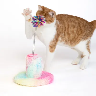 Spielzeug für Katzen: bunte Plüschbasis mit Feder und Pompon, Katze interagiert damit.
