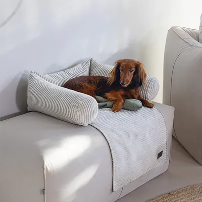 Dog lying on a grey, ribbed dog bed with raised edge, placed on a sofa.