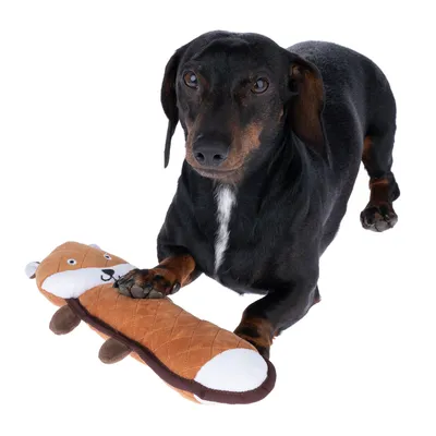 Hund med brunt plyslegetøj formet som en ræv, egnet til interaktiv leg.