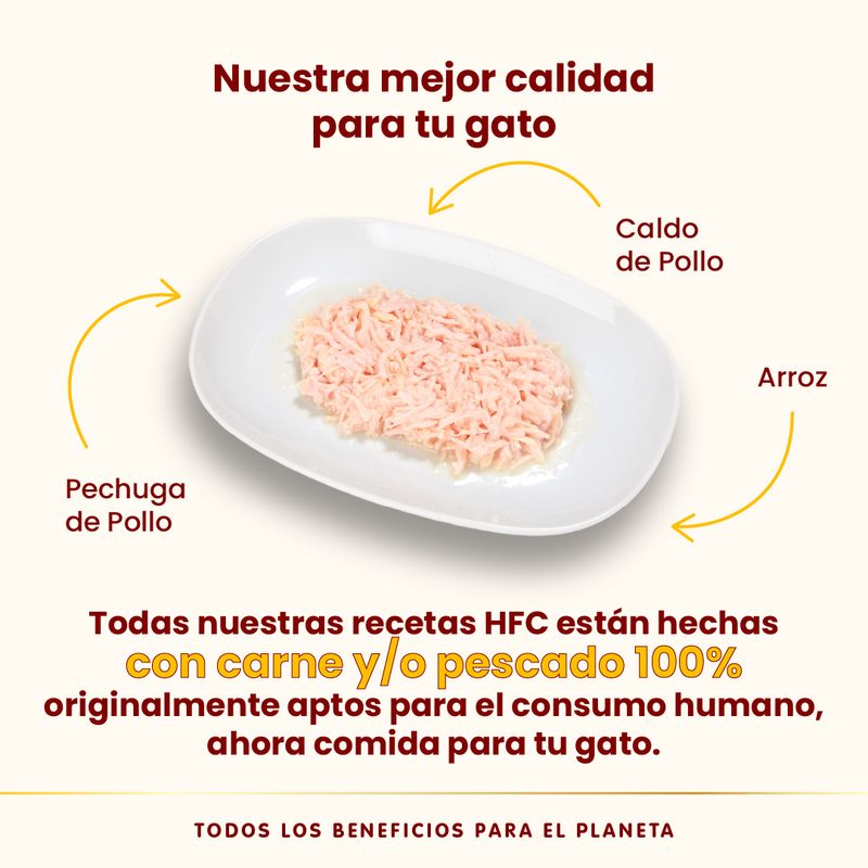 Pack Ahorro Almo Nature HFC 24 x 70 g