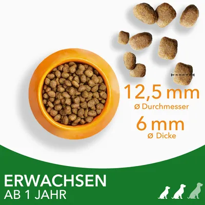 Suché krmivo pro dospělé psy od 1 roku. Velikost granulí: průměr 12,5 mm, tloušťka 6 mm. Zobrazeno v oranžové misce na krmivo.