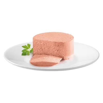 Scheibe einer rosa Fleischpastete auf weissem Teller, dekoriert mit einem frischen Petersilienblatt.