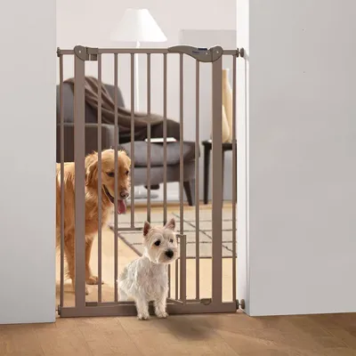 Hondenhek van metaal tussen twee muren, met een grote en een kleine hond erachter. Klein deurtje onderaan het hek zichtbaar.