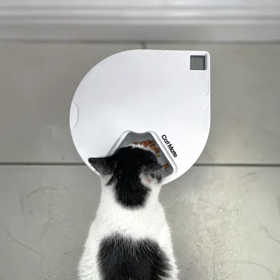 Automatischer Futterspender Cat Mate mit weissem Gehäuse, Katze frisst aus der Öffnung. Sichtbares Display oben rechts.