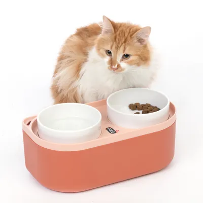 Σετ διπλών μπολ σε ροζ με δύο λευκά μπολ, ένα για νερό και ένα για ξηρά τροφή. Η γάτα κάθεται δίπλα. Μάρκα: PETKIT.
