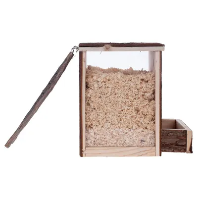 Bac transparent en bois rempli de copeaux de bois, couvercle ouvert avec branche fixée et tiroir latéral visible. Matériaux : bois, verre ou plastique transparent.