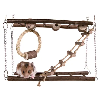 Accessoire suspendu pour rongeurs en bois et corde, avec échelle, anneau et chaînes métalliques, hamster visible sur la plateforme inférieure.