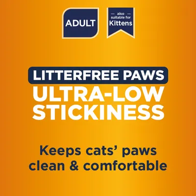 Ever Clean® Litterfree Paws Cat Litter - 10l
