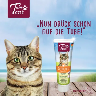 TubiCat Geflügelpaté für Katzen. Mit Katzenminze, ohne Zucker und Getreide, lebensmittelechte Qualität. Slogan: 'Nun drück schon auf die Tube!'.