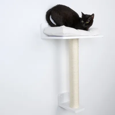 Tiragraffi da parete con cuscino bianco e colonna in sisal. Gatto nero sdraiato sulla piattaforma superiore.