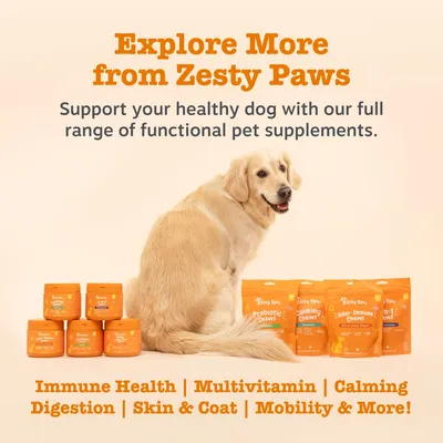 Explore More from Zesty Paws. Support your healthy dog with our full range of functional pet supplements. Immune Health, Multivitamin, Calming, Digestion, Skin & Coat, Mobility & More! Explore More from Zesty Paws. Support your healthy dog with our full range of functional pet supplements. Immune Health, Multivitamin, Calming, Digestion, Skin & Coat, Mobility & More!