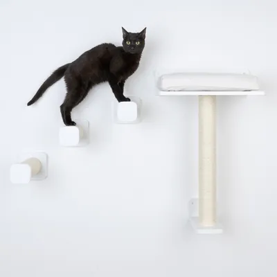 Gatto nero su stazione da arrampicata da parete bianca con colonna tiragraffi in sisal, tre piattaforme e superficie imbottita per sdraiarsi.