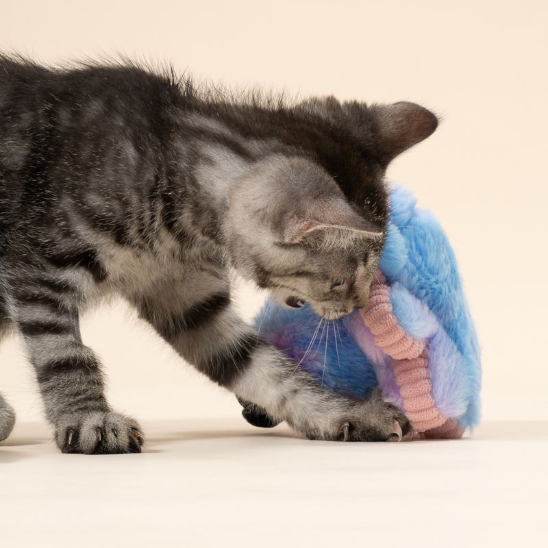 TIAKI Elektronisches Katzenspielzeug Tintenfisch-Pirat