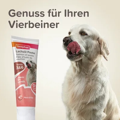 Beaphar Lachsöl Paste für Haut und Fell, Omega 3 & 6, Genuss mit Lachsöl, 0% Zuckerzusatz. Text: Genuss für Ihren Vierbeiner.