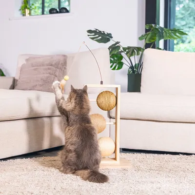 Katzenspielzeug aus Holz mit drei Sisalkugeln und hängendem Ball. Katze spielt aktiv damit in einem Wohnzimmer mit Sofa und Pflanzen.