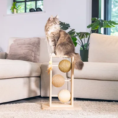 Katzenspielzeug aus Holz mit drei Sisal-Kugeln und Federanhänger, Katze sitzt oben auf dem Spielzeug in einem Wohnzimmer.