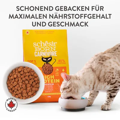 Schesir Born Carnivore High Protein Katzenfutter, schonend gebacken für maximalen Nährstoffgehalt und Geschmack, 45% Protein, hergestellt in Kanada. Katze frisst aus einem Napf.