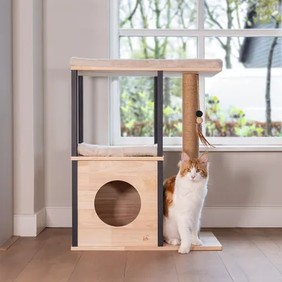Kratzbaum aus Holz mit Höhle, gepolsterter Liegefläche und Sisal-Kratzstange. Katze sitzt daneben.