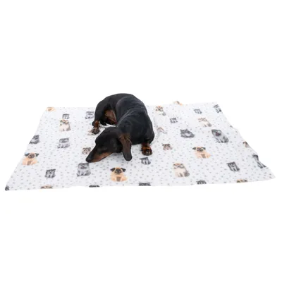 Chien couché sur une couverture blanche en tissu à motifs de têtes de chiens de différentes races.